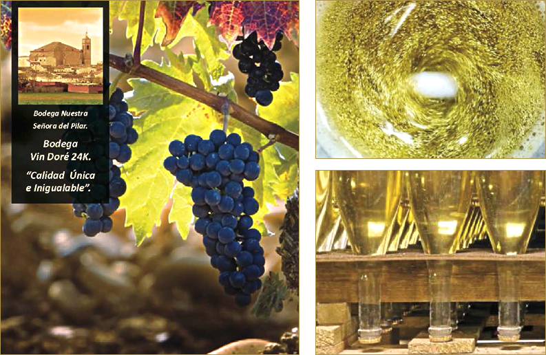 Bodega Nuestra Señora del Pilar. Bodega Vin Doré 24K. -Calidad Única e Inigualable-.
